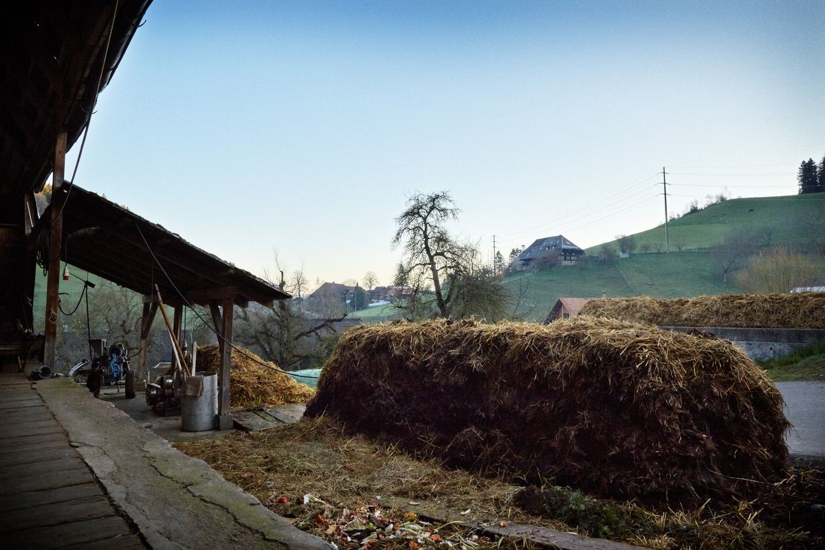 Tisu Steffen, Landwirt