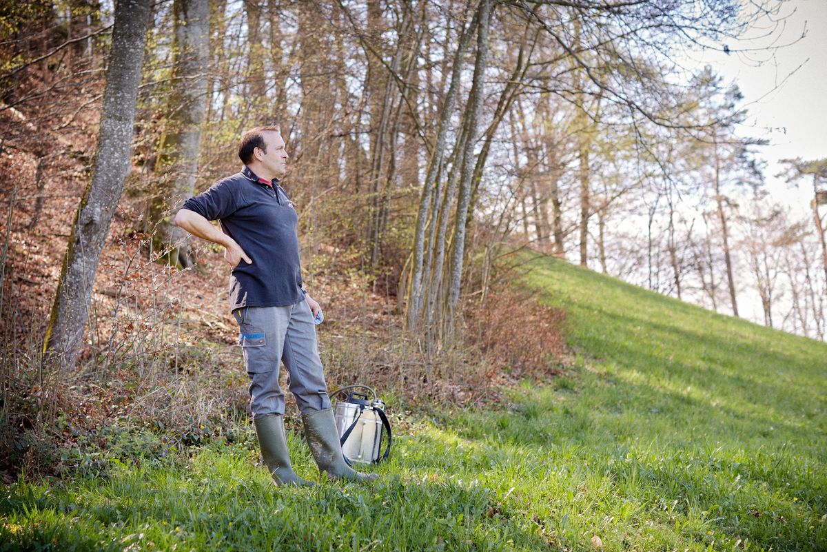 Tisu Steffen, Landwirt